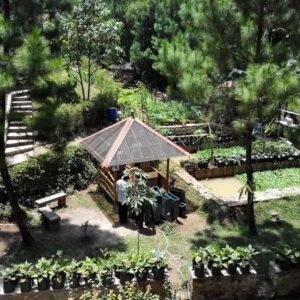 Eco Camp