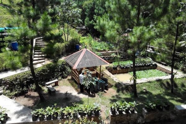 Eco Camp