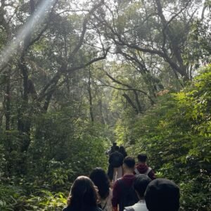 Forest Escape