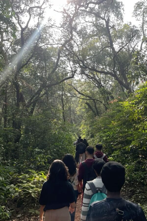 Forest Escape